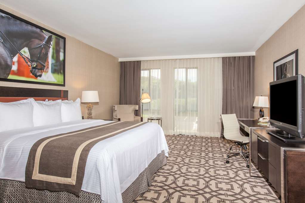 Delta Hotels By Marriott Baltimore Hunt Valley Room photo